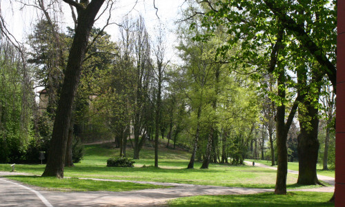 Der Seeliger-Park mit seinem alten, Schatten spendenden Baumbestand bot hierfür die ideale Örtlichkeit. Symbolfoto: Anke Donner