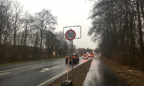 Derzeit ersetzt ein "50-Schild" das Ortseingangsschild am Neuen Weg. Foto: Alexander Dontscheff
