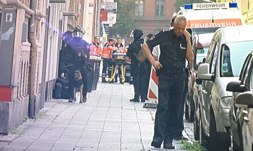 Ein 43-Jähriger sorgte am Donnerstag für einen Großeinsatz der Polizei in der Nußbergstraße. Foto: aktuell24/bm/dc