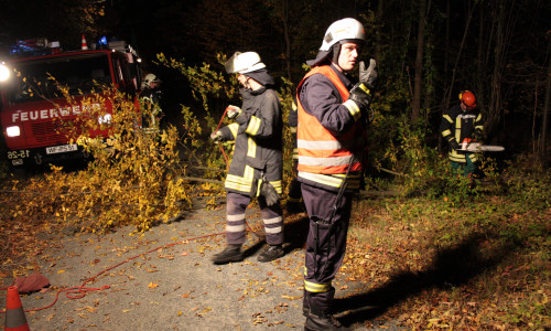 Für den Ernstfall üben die Feuerwehren auch das Szenario eines Waldbrandes. Foto: Werner Heise / Archiv 