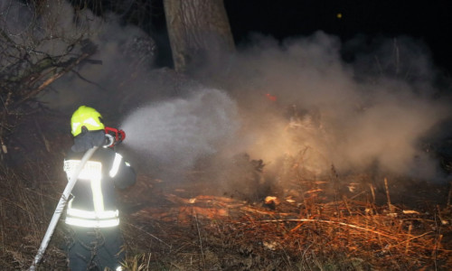 Drei Feuerwehren befanden sich im Einsatz, um eine Ausbreitung der Flammen auf die umliegende Vegetation zu verhindern. Fotos: Rudolf Karliczek