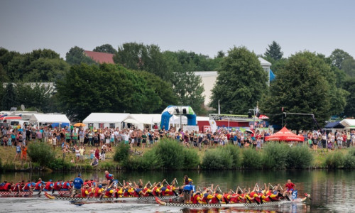 Zum elften Mal findet auf dem Salzgittersee das Drachenbootrennen statt. Foto: Stadt Salzgitter