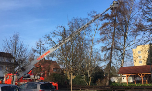 Am Klinikum drohte ein Baum umzustürzen. Fotos: Feuerwehr Wolfenbüttel