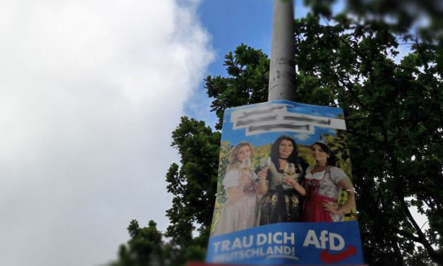 "Ein Schaden für die Demokratie". Fremde stehlen 50 Wahlplakate. Foto: Nicole Wiedemann 