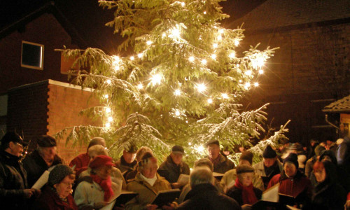 Der Weihnachtsbaum in Cremlingen wird bald geschmückt. Foto: Jörg Weber