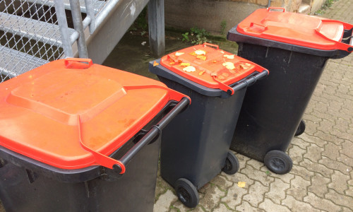 Im Innenstadtbereich von Wolfenbüttel findet man Mülltonnen mit roten Deckeln.