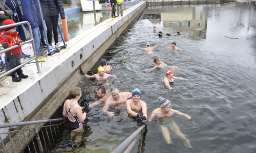 Im vergangenen Jahr wagten sich einige ins kalte Nass. Fotos: Wolfenbütteler Schwimmverein von 1921 e.V.