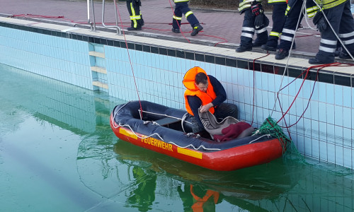 Das Reh konnte mit Hilfe eines Bootes aus dem Becken gerettet werden. Foto: Feuerwehr Goslar
