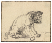 Rembrandt Harmensz. van Rijn (1606-1669), Studie eines sitzenden Hundes, um 1637 Schwarze Kreide, 82 x 99 mm
© C. Cordes, HAUM