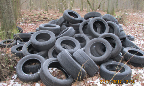 Illegal entsorgte Reifen im Wald bei Edemissen. Foto: Polizei Peine
