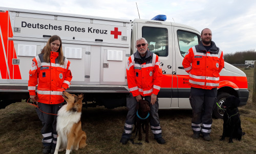 Bildunterschrift: Natascha Köppens mit Codey, Werner Sankowski mit Arkon und Dennis Kreie mit Oscar nach dem bestandenen Rettungshunde-Eignungstest. Foto: DRK Peine