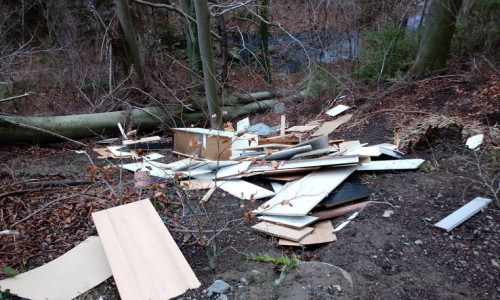 Erneut kam es zu illegaler Müllentsorgung. Foto: Landesforsten