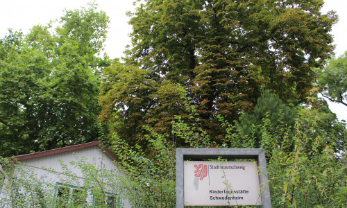 So grün wird es an der neuen Kindertagesstätte nicht bleiben: Kastanienbaum und Platane müssen weichen. Foto: Nick Wenkel