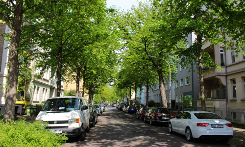 Die Heinrichstraße hat ihren Namen vermutlich nach Heinrich dem Jüngeren, Herzog von Braunschweig-Wolfenbüttel, erhalten. Foto: Sina Rühland