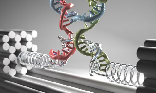 Künstlerische Darstellung der neuartigen "Nanoklammer" aus DNA-Strängen: In eine starre DNA Nanostruktur (graue Stangen) wird über eine Feder aus einzelsträngiger DNA (silberne Federn) das Zielmolekül eingespannt (hier eine DNA 4-Wege Kreuzung). Die durch die Kraft hervorgerufene Verzerrung der Struktur wird optisch detektiert. Grafik: Christoph Hohmann / LMU
