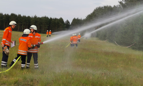 Die FFW Meinersen und Ohof trainierten gemeinsam die Bekämpfung von Wald- und Vegetationsbränden. Foto: Carsten Schaffhauser