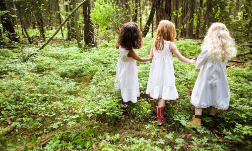 In vielen anderen Bundesländern bieten Waldkindergärten bereits längere Öffnungszeiten an. Symbolfoto: pixabay