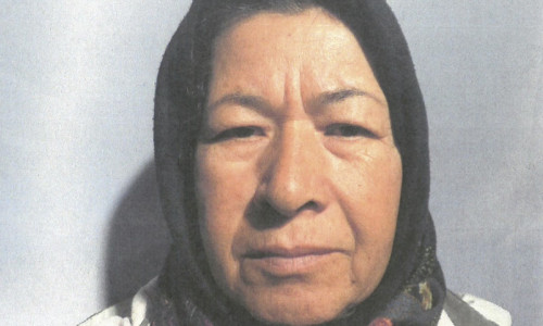 Die Vermisste Fatima Husseini. Foto: Polizei Peine