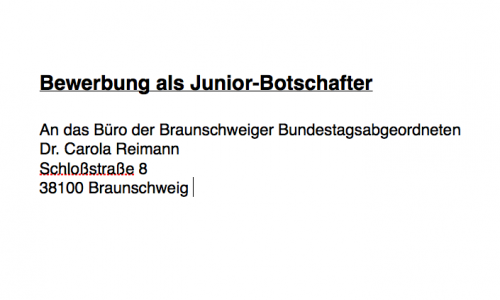 Auch in diesem Jahr vergibt der Deutsche Bundestag wieder Stipendien an junge Menschen, die als Junior-Botschafter für Deutschland ein Austauschjahr in den USA erleben können. Symbolfoto: Anke Donner 