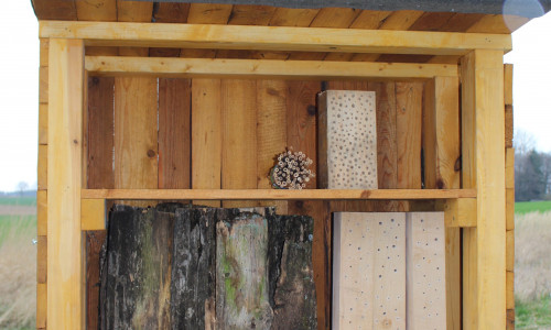 Auch private Grundbesitzer können den Bienen zum Beispiel durch den Bau von Nistkästen helfen. Symbolfoto: Nick Wenkel