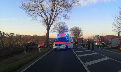 Feuerwehr und Rettungsdienst befanden sich auf der B 214 im Einsatz. Ein LKW-Fahrer ist nach dem Zusammenstoß mit einem Baum in seinem Fahrzeug eingeklemmt worden. 