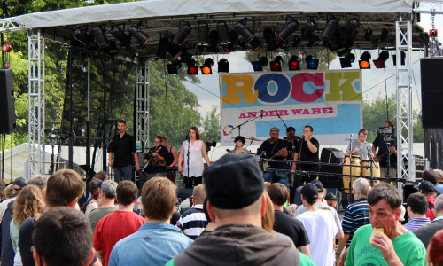 Das "Rock an der Wabe"-Festival in Neuerkerode. Foto: Privat