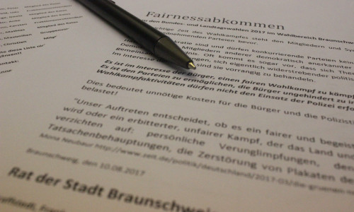 Annegret Hamecher möchte, dass die Ratsmitglieder ein Fairness-Abkommen zu den Wahlen unterschreiben. Foto: Anke Donner 