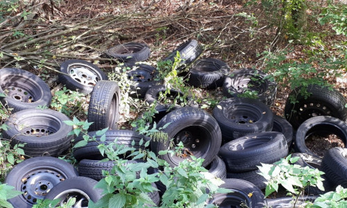 Die Förster hätten immer wieder mit illegaler Müllentsorgung im Wald zu kämpfen.

Foto: Niedersächsische Landesforsten
