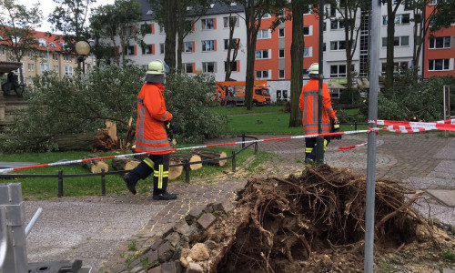 Sturm Xavier hatte am Hagenmarkt mehrere Bäume entwurzelt. Foto: aktuell24(BM)