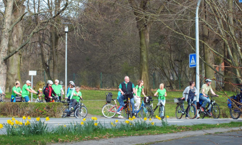 Größere Gruppen Rad fahrender Verkehrsteilnehmer finden an vielen Stellen in Helmstedt zwar ein Radwegenetz vor, dies ist aber häufig nicht ausreichend breit gestaltet. Foto: Achim Klaffehn