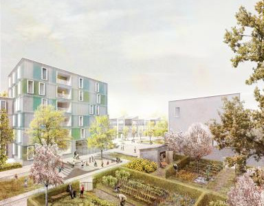 Hellwinkel Terrassen. Quartiersgärten mit Hecken und Obstbäumen bewahren ein Stück der früheren Nutzung und Artenvielfalt. Foto: SMAQ – architecture urbanism research