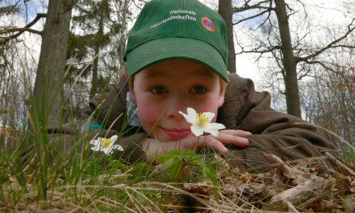 Umweltbildung im Nationalpark Harz – die Hauptaufgabe der Commerzbank-Umweltpraktikanten, Foto: Ranger Freddy Müller, Nationalpark Harz