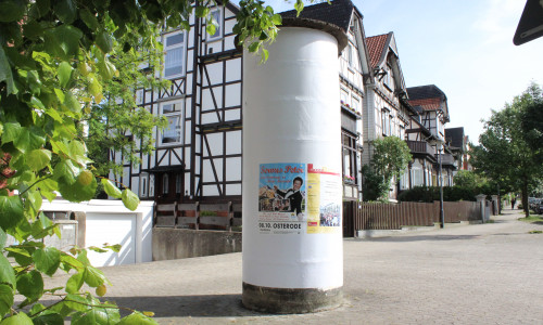47 Litfaßsäulen sollen in den nächsten Jahren aus Goslar und Vienenburg verschwinden. Nicht genutzt und zeitgemäß, heißt es aus der Stadtverwaltung. Foto: Anke Donner 