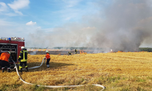 Zirka zwei Hektar Stoppelfeld brannten ab. Foto: aktuell24/kr