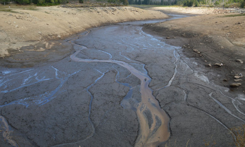 Der Oderteich. Bei diesem Bild wird das Ausmaß der Trockenheit sehr deutlich. Fotos: Harzwasserwerke