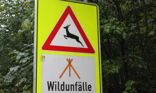 Achtung Wildwechsel Symbolfoto: Anke Donner