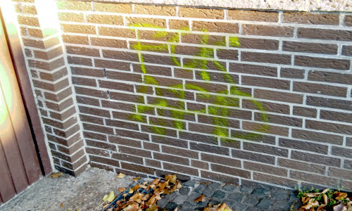 Unbekannte schrieben "FCK AFD" an das Wohnhaus des Fraktionsvorsitzenden der AfD. Foto: AfD