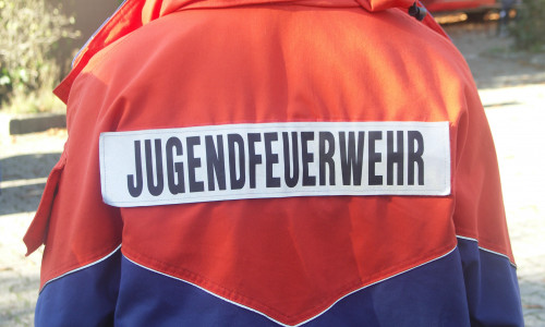 Die Jugendfeuerwehr Heiningen wurde mit dem Integrationspreis des Landes Niedersachsen ausgezeichnet. Foto: Archiv