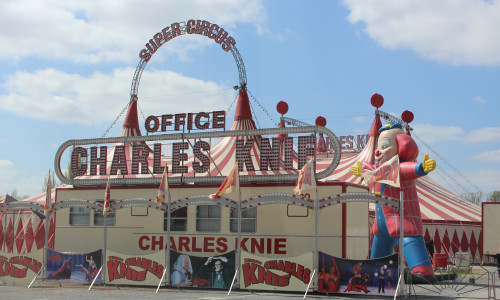 PETA wirft dem Zirkus Charles Knie vor, die Tiere einer regelrechten „Stresstournee“ auszusetzen - das wollen die Veranwortlichen so nicht stehenlassen. Foto: Archiv