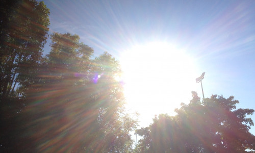 Unter dem Motto „SolarCheck – cle[WF]er die Sonne nutzen!“ können jetzt Bürgerinnen und Bürger im Landkreis Wolfenbüttel entdecken, wie sie die Energie der Sonne nutzen können. Foto: Werner Heise