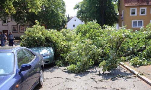 Zwei Autos wurden durch den Baum beschädigt. Fotos: Rudolf Karliczek