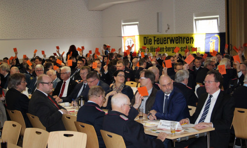 138 Feuerwehrangehörige trafen sich im Schützenhaus Velpke zum Kreisfeuerwehrtag. Fotos: Kreisfeuerwehr Helmstedt