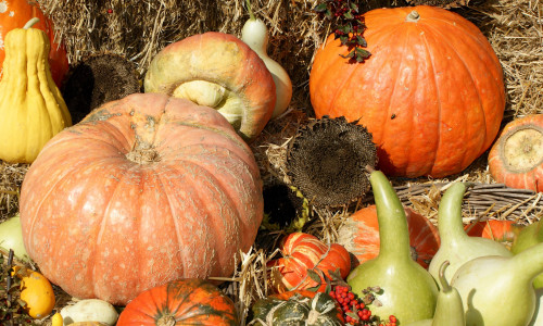 Grund dafür ist der Herbstmarkt. Symbolfoto: Pixabay