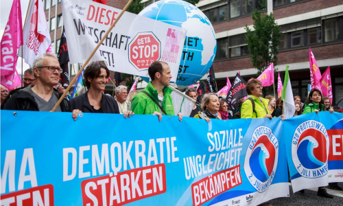 Auch Greenpeace-Vertreter aus Braunschweig beteiligten sich an der Demo vor dem G20-Treffen. Fotos: Jannis Große
