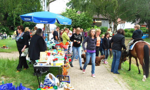 Von 14 und 18 Uhr laden zahlreiche Einrichtungen, Vereine und Verbände aus ganz Goslar zum Fest auf der Knickwiese in Vienenburg ein. Foto: Stadt Goslar 