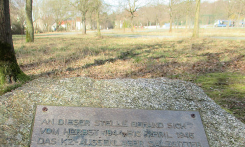 Der Gedenkstein für das KZ-Außenlager Salzgitter-Bad liegt eher unscheinbar auf einer Grünfläche. Foto: Michael Siano