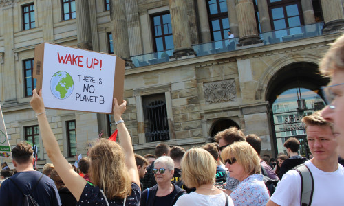 Heute fand wieder eine Fridays for Future Demo vor dem Schlossplatz statt. Fotos und Podcast: Julia Seidel