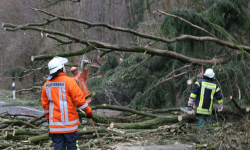 Durch die starken Orkanböen wurden etliche Bäume umgeworfen. Symbolfoto: Tobias Paschwitz, Freiwillige Feuerwehr Hohenhameln. Symbolfoto: Rudolf Karliczek