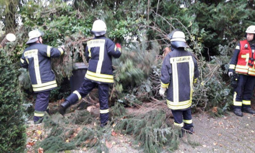 Am Langhansweg stürzte ein Baum um. Fotos: Feuerwehr Wolfenbüttel