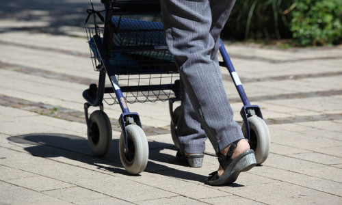 Die 71-Jährige war mit ihrem Rollator beim Einkaufen, als sie von einem Auto erfasst wurde. Symbolfoto: Pixabay